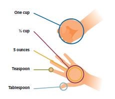 Diabetes Diet Portion Size