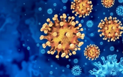 coronavirus germ