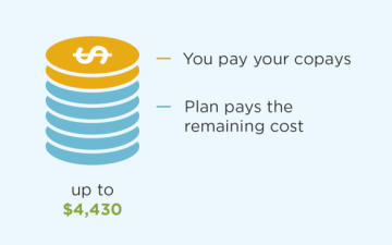 You pay your copays, Plan pays the remaining cost up to $4,430
