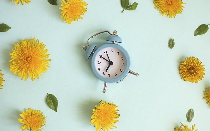 Alarm clock surrounded by spring flowers