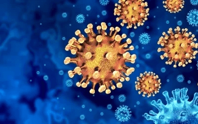coronavirus germ
