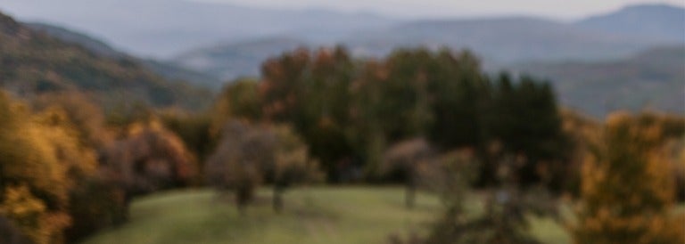 Fall background